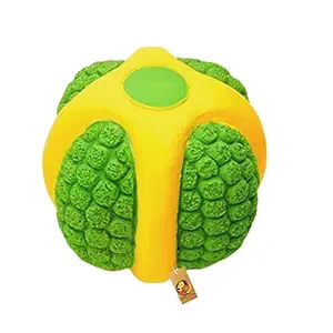 Foodie Puppies Non-Toxic Soft Latex Interactive Training Fetch and Play Squeaky Bouncing & Floating Chew Toy for Puppies & Dogs (Squeaky MelonBall, Large)