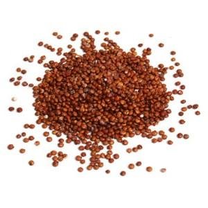 Preisvergleich Produktbild Bulk Grains 100% Organic Red Quinoa Bulk 25 Lbs