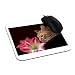 Produktbild remind-u Katze Katzenminze Amaryllis Pflanze Custom Gaming Maus Pad 23,5 x 19,7 cm