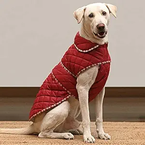 Heads Up For Tails Grrrberry Quilted Dog Jacket - Maroon - 2XL