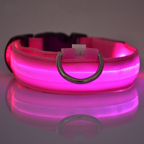 Preisvergleich Produktbild Providethebest LED-Haustier-Hundehalsband Flashing Glow Hundeleine Hals Gürtel Halsbänder Hunde Fluorescent Katze Individueller Gürtel Seil-Schnur Rosa XS