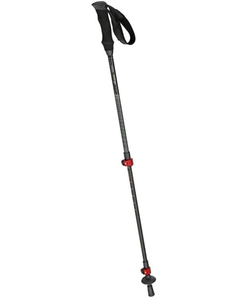 vango inca walking pole