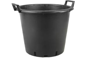 CIS Ics Mastello para Enologia 2 asas