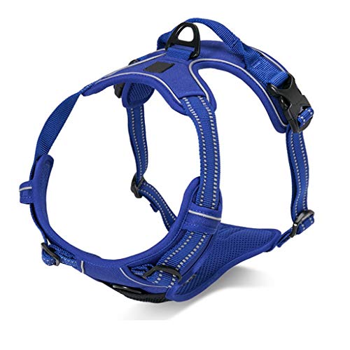 Preisvergleich Produktbild Haustier-Geschirr, Haustier-Brustgurt, Weste, Hundeleine Strap, explosionssicherer Schlag, goldenes Haar, Zugseil Brust zurück (Farbe : Royal blue, größe : Xs)