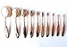 Goldrose 10 pcs Soft Oval Toothbrush Mermaid Multipurpose Makeup Brush Set Foundation Brushes Cream Contour Blush Powder Concealer Brush Cosmetics Tool (Gold)