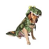 ★ Perfecto para uso diario, ocasiones especiales, fiestas de fin de semana, Halloween, Navidad, cumpleaños, sesiones de fotos y fechas de lectura, o simplemente para mantener a su mascota en su mejor momento .