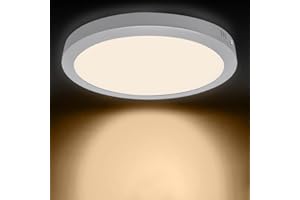 DINGLILIGHTING 6W Surface Mounted Led Ceiling Light Fittings, 3000K Warm White, Led Bathroom Light Ceiling for Kitchen, Hallway, Living Room, Soft Daylight Flush Mounted Ceiling Lights