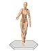 Produktbild lzn 2.0 Aktion Ample Body Kun Puppe PVC Body-Chan DX Set Action Figur Modell Für SHF 13 cm/13.5 cm