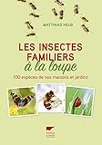 Les insectes familiers à la loupe