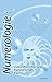 Numerologie: Zukunftsvorhersage, Partnerschaft, Karma (Literareon) by 