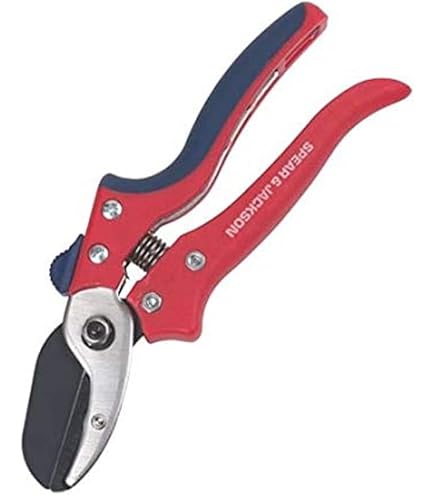 Kew Garden Tools Spear & Jackson 4948PS Scie D'élagage Pliante