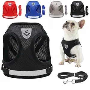 TruBest Dog Harness, Puppy Dog or Cat Harness with Nylon Leash, Reflective No Pull, Soft and Breathable Dog Vest (Small, Black)