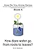 Produktbild How Does Water Go From Roots to Leaves: How do You Know Series - Book 5 of 10