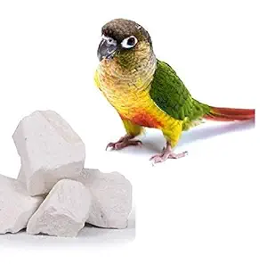 Pets Wizard - Natural Mineral Block for Birds (500 gm)