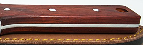 Protector Tech Digger – rostfreies Messer-Handschaufel für Metalldetektor und Umgraben in Gartenarbeit (mit Rot-Holz-Griff und brauner Ledertasche) - 4