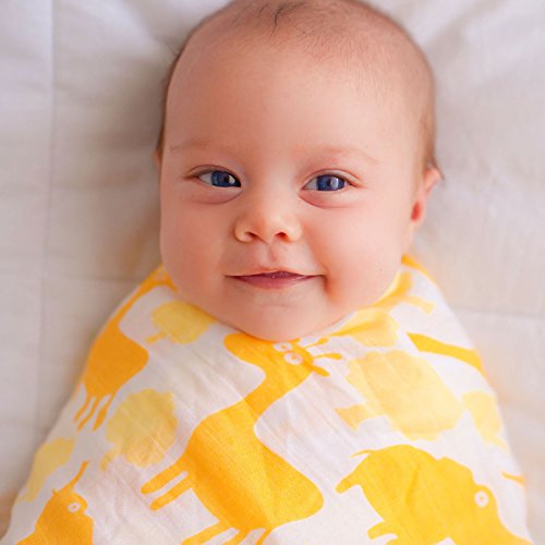 „Kunterbunte Tierchen“ Pucktücher aus Musselin 4er-Pack – Große Musselin-Puckdecken von CuddleBug, 120 cm x 120 cm – Beste Musselintuch aus weicher Baumwolle – Bestes Geschenk für werdende Eltern – Ideal fürs Kinderbett – Für Mädchen oder Jungen – 4 niedliche Motive – Garantie auf Lebenszeit! - 4