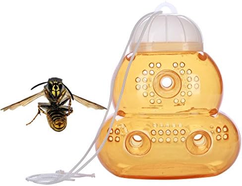 WARKHOME Garden Honey Beehive Wasp Trap