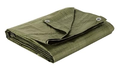 Cogex 82013 Bâche de couverture 1,5 x 6 m
