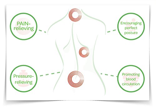 Zenyo TUT-DIR-GUT Sitzkissen | orthopädische Sitzauflage mit zwei Bezügen | Mesh und Velour Bezug | Steißbein-Kissen für Gesundheit und Fitness | für Entspannung und physiologische Schmerzlinderung … - 7