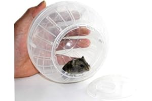 FITUENLY Palla Per Esercizi Per Criceti 10 Cm Palla Per Criceti Trasparenti Pet Roditore Ruota Corsa Palline Jogging Sveglie Giocattoli Per Topi Topi Gerbil