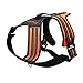 Produktbild JKRTR Hochwertige atmungsaktive Reflexstreifen Outdoor Adventure Pet Weste(Orange,XL)