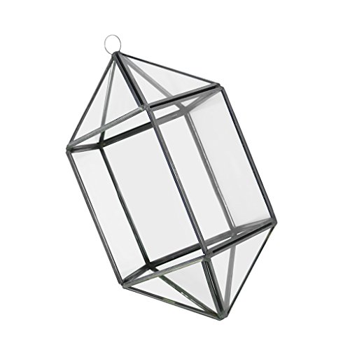 MagiDeal Modern 18-Seitig Hängeblumentopf Glas Geometric Blumentopf Blumen Pflanzen Vase Box Terrarium für Haus Wohnzimmer Garten Deko - 4