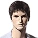 Songmics New Fashion Brown Short Wig for Men Full Hair 28cm WMS123