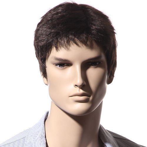 Songmics New Fashion Brown Short Wig for Men Full Hair 28cm WMS123