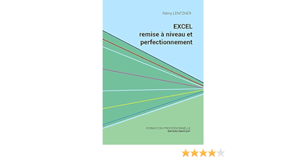 Excel Remise A Niveau Et Perfectionnement Pour Aller Plus Loin Dans Votre Utilisation D Excel Informatique Du Quotidien Ebook Lentzner Remy Lentzner Remy Amazon Fr