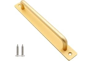 CWOQOCW Tirador de puerta para puertas interiores y exteriores, madera o aluminio (dorado)