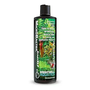 Brightwell Aquatics MicroBacterStart XLF - Concentrated Live Tank Starter for Cycling New Freshwater Aquarium and Establishing Nitrifying Bacteria, 125 ml