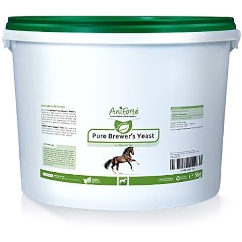 Amazon.co.uk anti inflammatory for horses