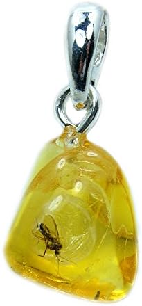 Rare Natural Baltic Amber with Insect Inclusion &amp; Sterling Silver Pendant