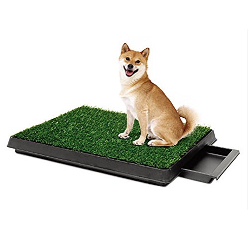 Preisvergleich Produktbild DAN Hundeklo aus echtem Rasen, Welpentoilette, Trainingsunterlage, Hundetoilette