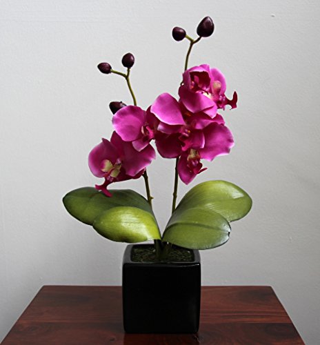 Homescapes Kunstblume Orchidee pink in schwarzem Keramik Topf Höhe ca. 35 cm Kunstpflanzen mit Topf, Künstliche Pflanzen klein