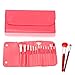 Fash Professional makeup nylon Brush Set, 13pc, For Eye Shadow, Blush, Eyeliner, eyebrow