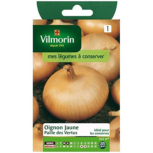 Vilmorin - Sachet graines Oignon jaune Paille des Vertus