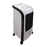 Ventilatore con ionizzatore