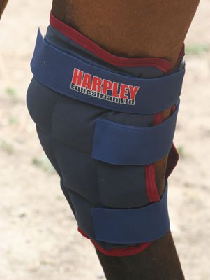 Harpley-Cool-Hock-Wraps-Singles-Ice-Wraps