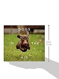 Image de Dogs in the Air