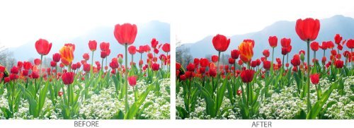 67 mm UV  Ultra Violet  Filter pour Canon  Nikon  Sony  Samsung  Sigma  Fujifilm  Fuji  FUJINON  Tamron  Tokina  Pentax  Carl Zeiss Objectif  67mm 