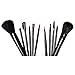 FASH 21-Piece Professional Goat and Horse Hair Cosmetic Brush Set with Faux Leather Pouch