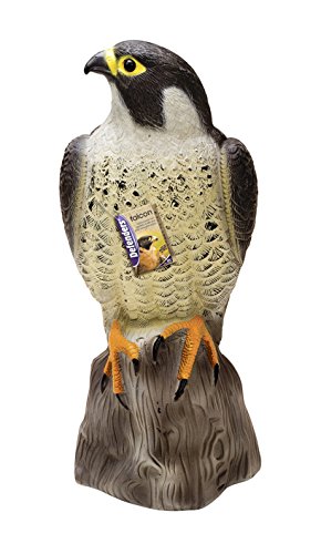 STV International Defenders Espantapájaros, Gris