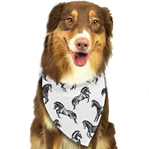 Preisvergleich Produktbild Hipiyoled Pet