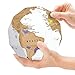 Produktbild iBaste Scratch Off Weltkarte Poster, DIY Scraping Map Globe-Beste Geschenk für Reiseplaner