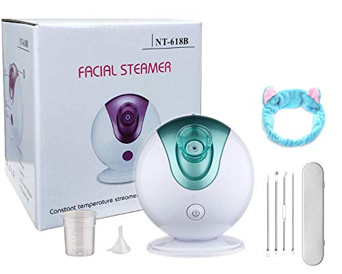 Hong Ren Vapeur Visage Vaporisateur Nano Ionique Facial Sauna Spa Facial Soins Esthétiques de Peau pour Nettoyage en Profondeur Pores Point Noir Visage Steamer Humidificateur ?Vert?