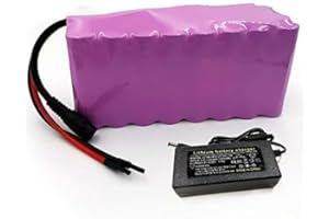 SEILYLANKA Con caricabatterie 14Ah 6S4P 24V e-bike batteria ebike bicicletta elettrica Li-ion personalizzabile 170x70x60mm