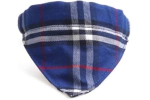 Bandana Cat Collars and Bell | Safe Quick Release Breakaway Buckle | ZACAL Cat Collars (Blue Tartan Style Bandana)