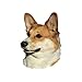Produktbild World Stickers Schwandt Heimtierbedarf 12103 Aufkleber 4 Stück ca. 80 x 80 mm für Warnschild Welsh Corgi Pembroke