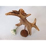 Treibholz Skulptur, Schwemmholz Figur mit Skulpturhalter aus Ton und Metall in Rost Optik, Holz Statue mit Rost Effekt veredelt, ca. 12 x 14 cm, Unikat Designer-Stück